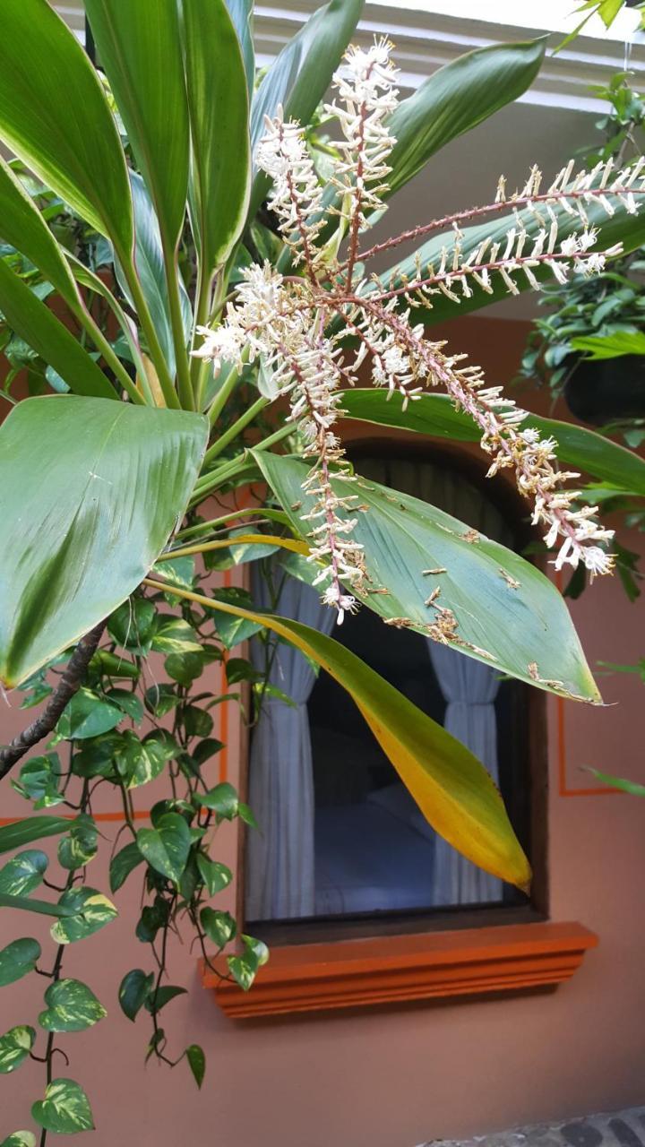 Hotel Posada San Jeronimo Coatepec  Exteriör bild